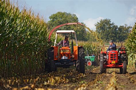 Oldtimer Hakseldag Dalen 2022 I Agrifoto Nl