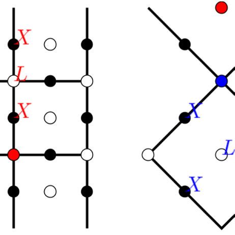 Distance Damaging Leakage Faults In The Distance Standard And Rotated