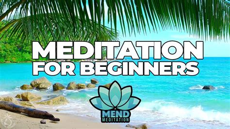 Meditation For Beginners 20 Minutes Guided Meditation Youtube