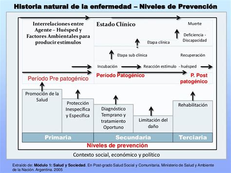 Teórico Historia Natural De La Enfermedad Y Niveles De Prevención