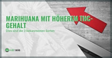 Marihuana Mit Hohem Thc Hier Stellen Wir 3 Sorten Dar