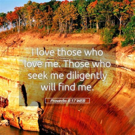 Proverbs 8 17 Web I Love Those Who Love Me Those Who Seek Me