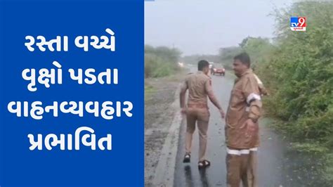 Cyclone Biparjoy જામનગરમાં વાવાઝોડાને પગલે અનેક સ્થળે વૃક્ષો ધરાશાયી