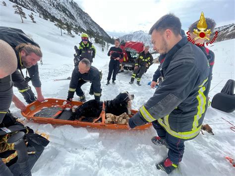 Dal Nord Ovest Cane Si Infortuna Durante L Escursione Salvato Dai