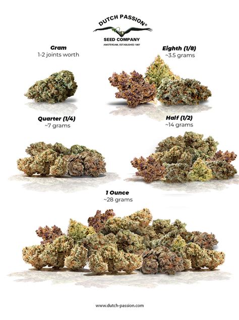 Guía De Medición De Marihuana Peso Calidad Y Precio • Stoners Rotation