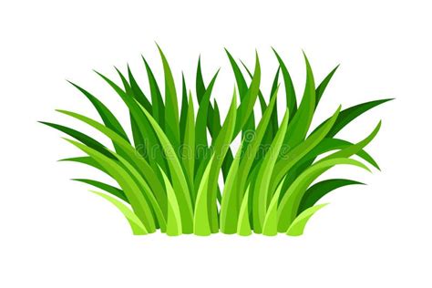 Green Grass Blades Or Herbage As Forest Element Vector Illustration Stock Vector Illustration