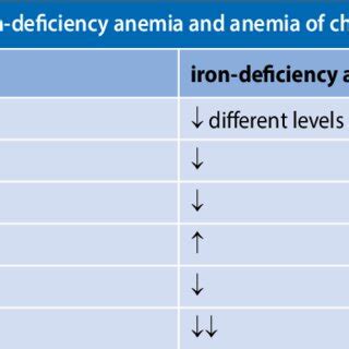 Algorithm for causes of anemia; MCV -mean corpuscular volume; Hb... | Download Scientific Diagram