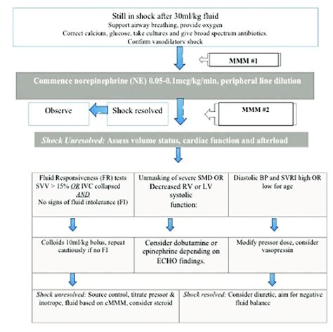 a: Treatment protocol for limited fluid and early norepinephrine... | Download Scientific Diagram