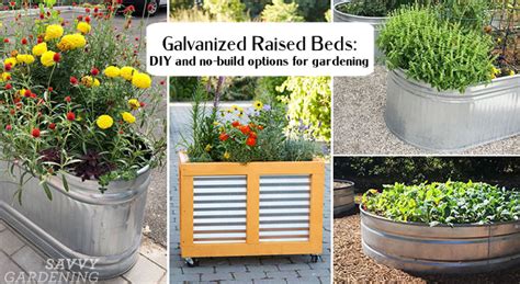 Galvanized Garden Beds | Fasci Garden