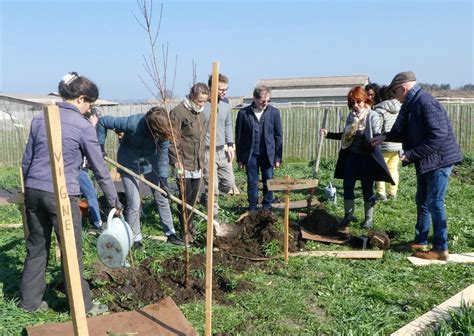 Braud et Saint Louis Une forêt comestible en devenir à Terres dOiseaux