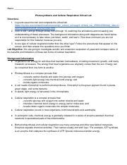 Understanding Photosynthesis And Cellular Respiration Virtual Lab
