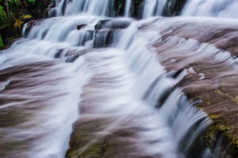 Premium Photo Liffey Falls State Reserve At The Midlands Region Of