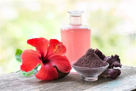 How To Use Hibiscus Powder For Hair Expert Tips Bestcheck