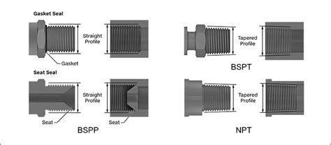 Npt Bspt Bspp Thread Screw Union Flexible Rubber Joint