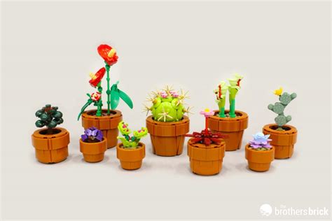 Lego Icons Botanical Collection Tiny Plants Tbb Review