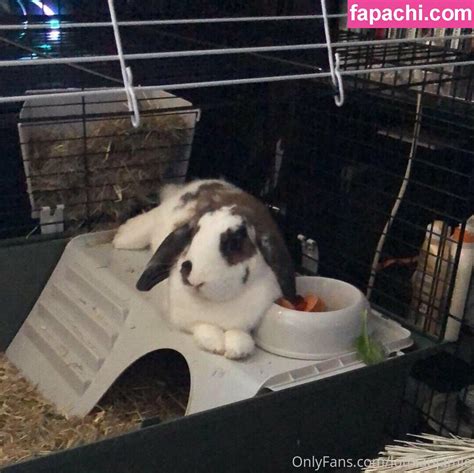 Lothianjamie Jamiesarkisianlapiere Leaked Nude Photo 0083 From OnlyFans Patreon