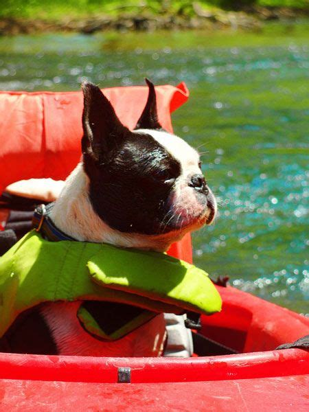 Kayaking Part 2 Kayaking Boston Terrier National Wildlife Refuge