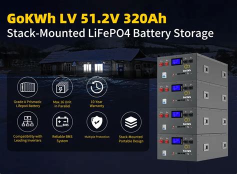 GoKWh 51 2V 100Ah LiFePO4 Rack Mounted Battery Storage Built With BYD