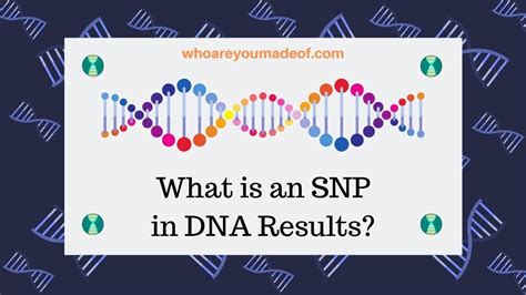 What Is An Snp In Dna Results Who Are You Made Of