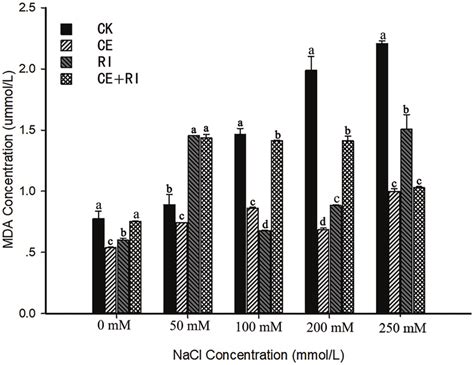 Mda Content Of V Prionantha Under Salt Stress Mediated By Am Fungi