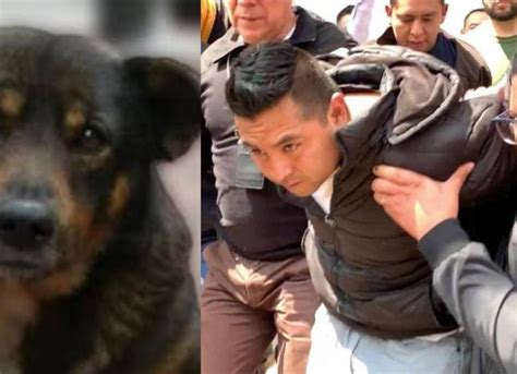 Hombre Que Lanzó A Un Perro A Aceite Caliente Rompió En Llanto Al Ser Enviado A Prisión