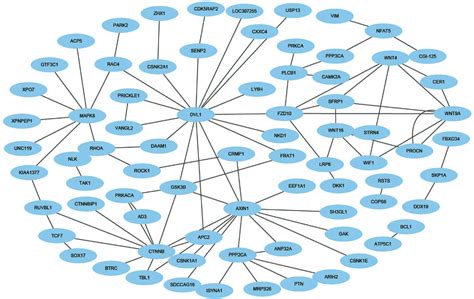 Frontiers Fctp Wsrc Proteinprotein Interactions Prediction Via