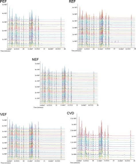 Representative Gc Tofms Total Ion Chromatograms Of The Samples From Download Scientific