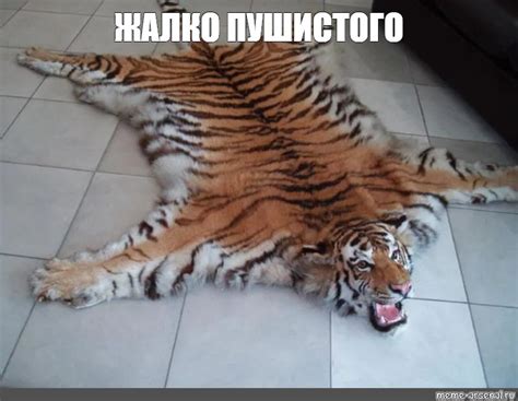 Создать мем "шкуры тигров, амурский тигр шкура, шкура тигра" - Картинки ...