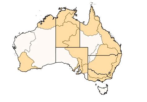 Termite Types And Pest Species In Australia Rentokil AU