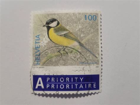 Briefmarke Kohlmeise Einheimische Vögel Kaufen auf Ricardo