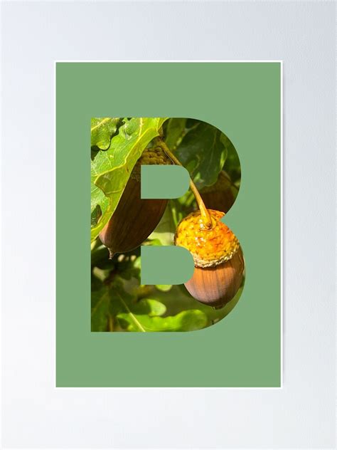 Acorns In The Woods Monogram The Letter B With Minty Green