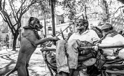 Textos Sobre Moradores De Rua LIBRAIN