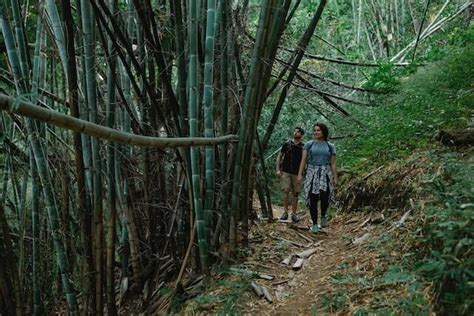 Ayahuasca Retreat Near Me In Ohio Temple Of Umi