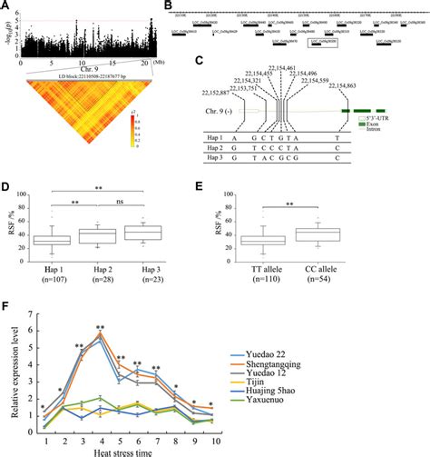 Frontiers Qtl Mapping And Identification Of Candidate Genes Using A