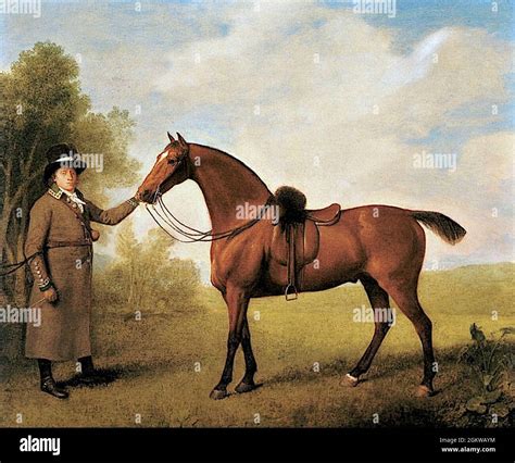 Vintage George Stubbs horse painting art Stock Photo - Alamy