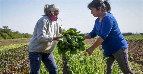 Se Viene El Primer Encuentro Regional De Mujeres Agropymes