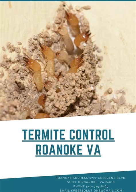 PPT Termite Control Roanoke VA Killinger Pest Solutions PowerPoint