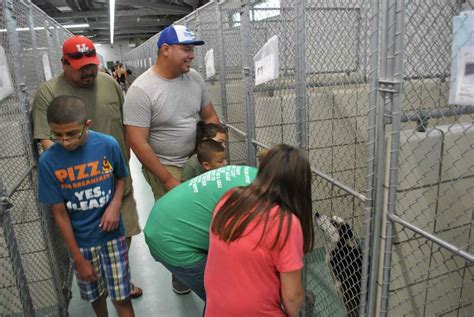 Pasadena shelter breaks record for pet adoptions