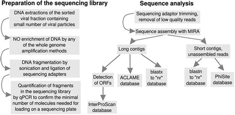 Frontiers Direct Sequencing Of Human Gut Virome Fractions Obtained By