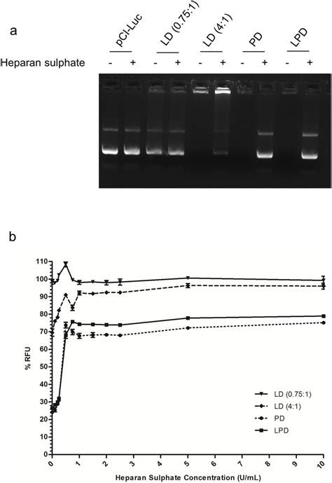 Gel Retardation Assay Showing Ng Naked Pci Luc Ld Ld