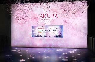 Sakura Aquarium By Naked Things To Do In Tokyo