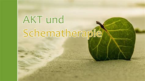 Achtsamkeitsbasierte Kognitive Therapie Und Schematherapie