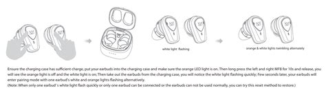 Noble Audio Falcon ANC Manual | Step-by-step Guide