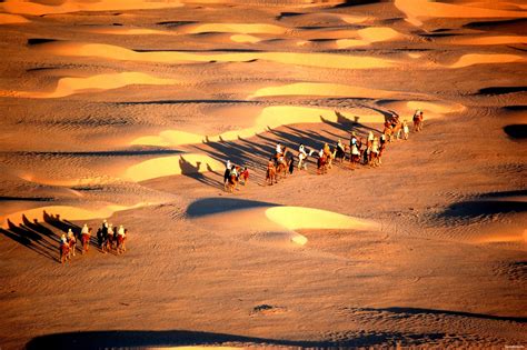 Сахара (Sahara) » ИнфоГлаз