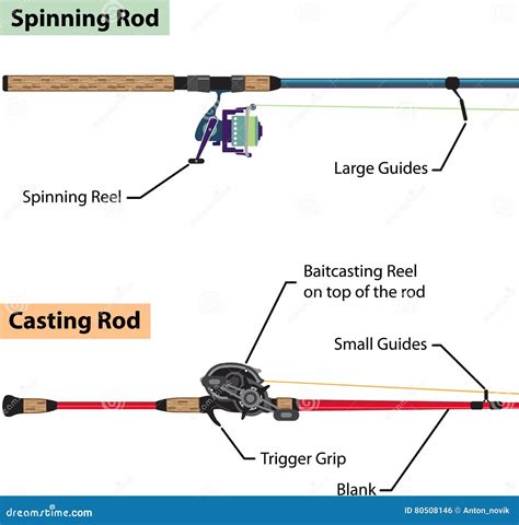 Diagram of Spinning Rod and Baitcasting Rod Vector Illustration Stock ...