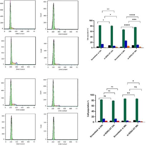 Knockdown Effects Of SOX2 OT On A549 And Calu 3 Cells Cycle Analyzed By