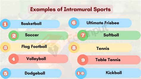 10 Examples of Intramural Sports