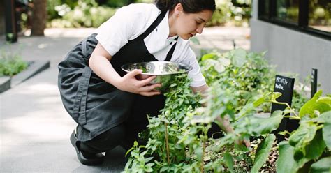 Pujol el mejor restaurante de México y el más sustentable de América Latina en Infobae