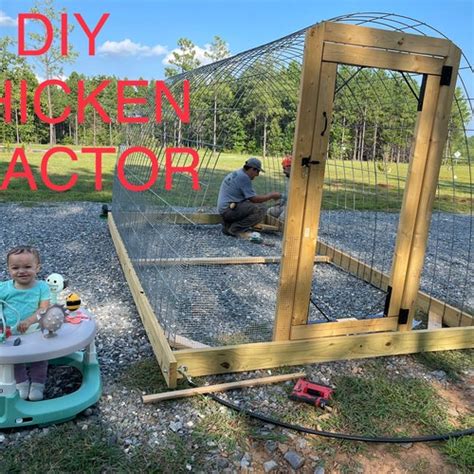 Cattle Panel Chicken Tractor Plans With Time Lapse Video Pdf Etsy