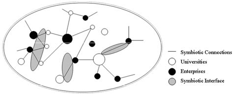Conceptual Model Of Industry University Symbiotic Network Download
